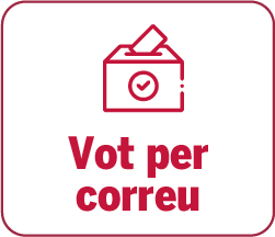 Vot per correu